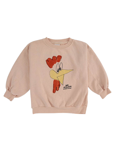 Felpa girocollo con stampa grafica 222AC037  BOBO CHOSES 