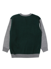 Load image into Gallery viewer, Maglione con logo
